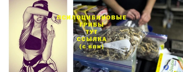 герыч Горнозаводск