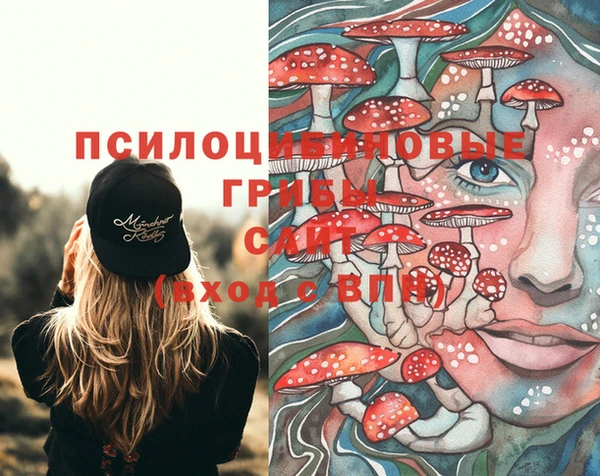 герыч Горнозаводск