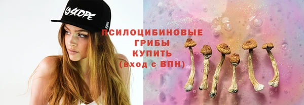 МДПВ Горняк