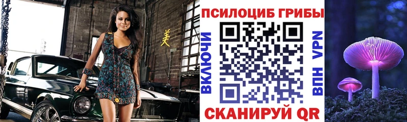 Галлюциногенные грибы Magic Shrooms  Цивильск 